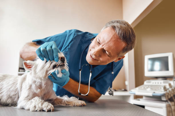 Best Emergency Dental Surgery in Antlers, OK